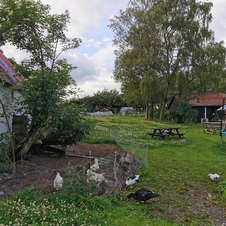 Apartment Blikgardens Summerhouse Them